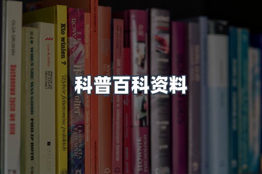 外文电子书系列